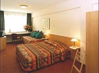 Hotel Phoenix