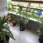 Cozy Studio
