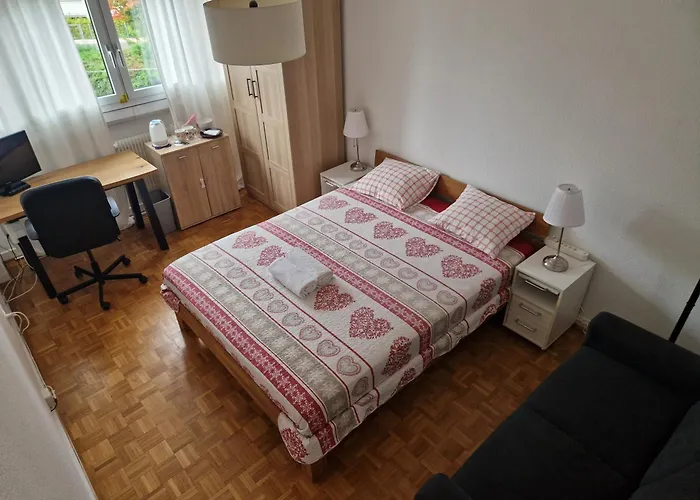 Room In Shared Apartment Geneva