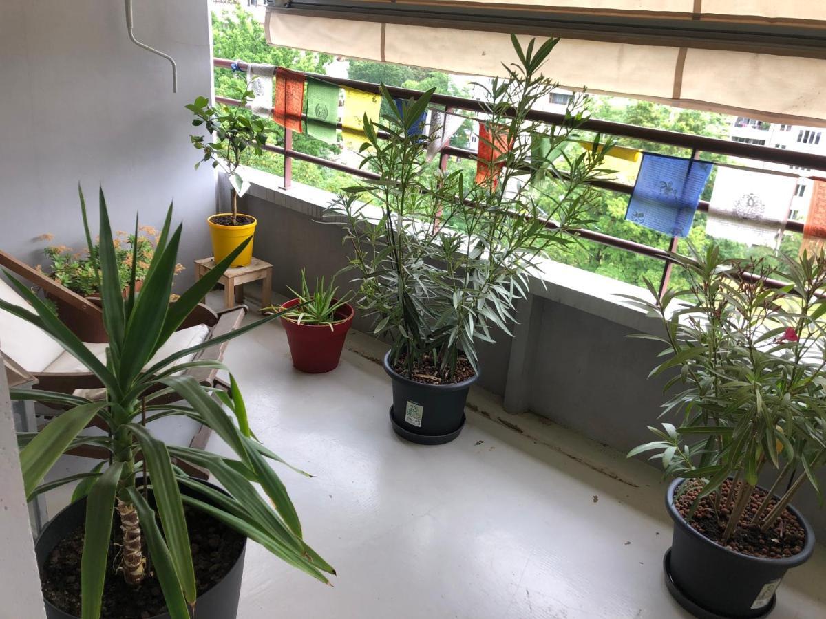 Appartement Cozy Studio Genève