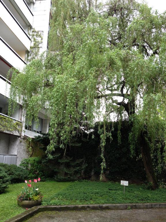 Luxurious Genève