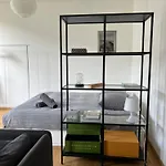 Luxury Apartment In Central Geneva