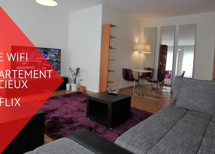 Spacious Apartment In Servette