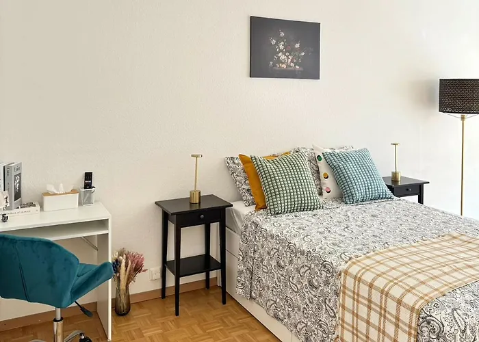 Modernite Et Confort A Geneve