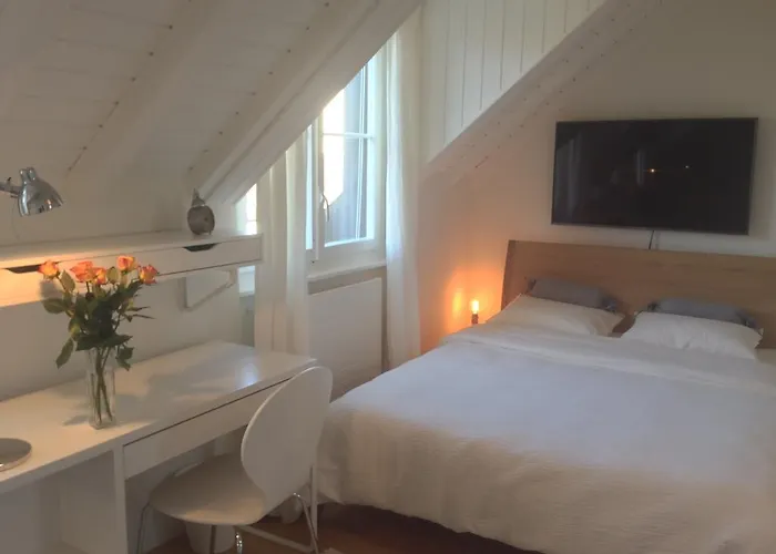 Carouge Loft Apartment