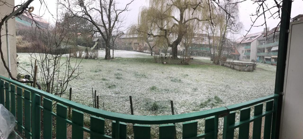 Gva Bernex - Homestay Tramwaytpg14 - Viarhôna Séjour chez l'habitant