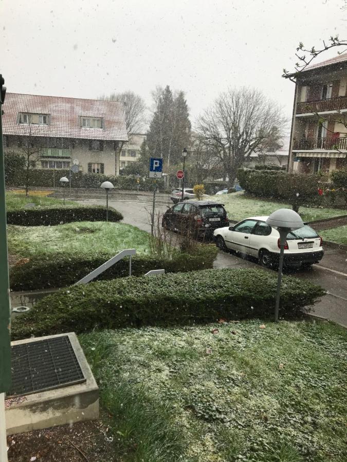 Gva Bernex - Homestay Tramwaytpg14 - Viarhôna Séjour chez l'habitant *