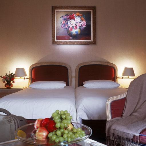 Ibis Centre Nations 3*