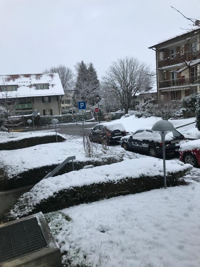 Séjour chez l'habitant Gva Bernex - Homestay Tramwaytpg14 - Viarhôna