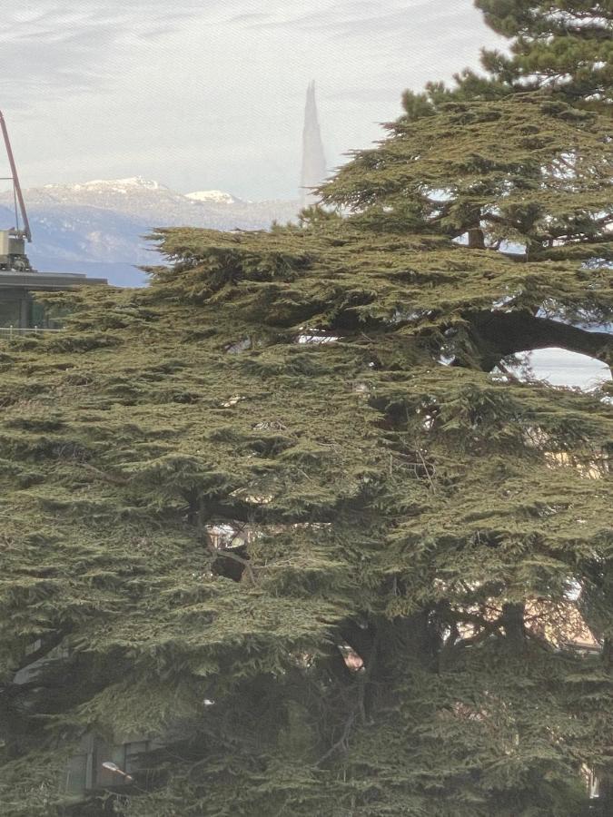 Genève, Plein Centre,belle Vue Lac, Splendide Et Grand *