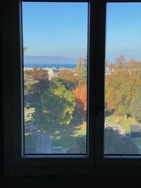 Appartement Genève, Plein Centre,belle Vue Lac, Splendide Et Grand Genève