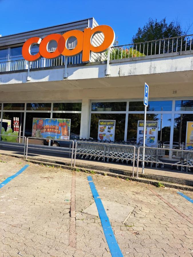 Chambre Chez Habitant Près Aéroport - Palexpo - Onu De *