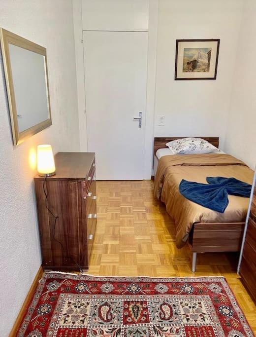 Appartement 7,0 Pieces 3 Proximite Aeroport Genève