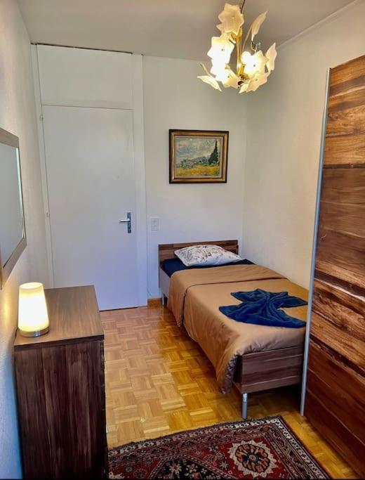 7,0 Pieces 3 Proximite Aeroport Appartement