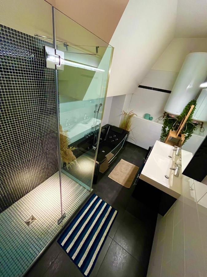 Appartement Genève, Loft 220m2