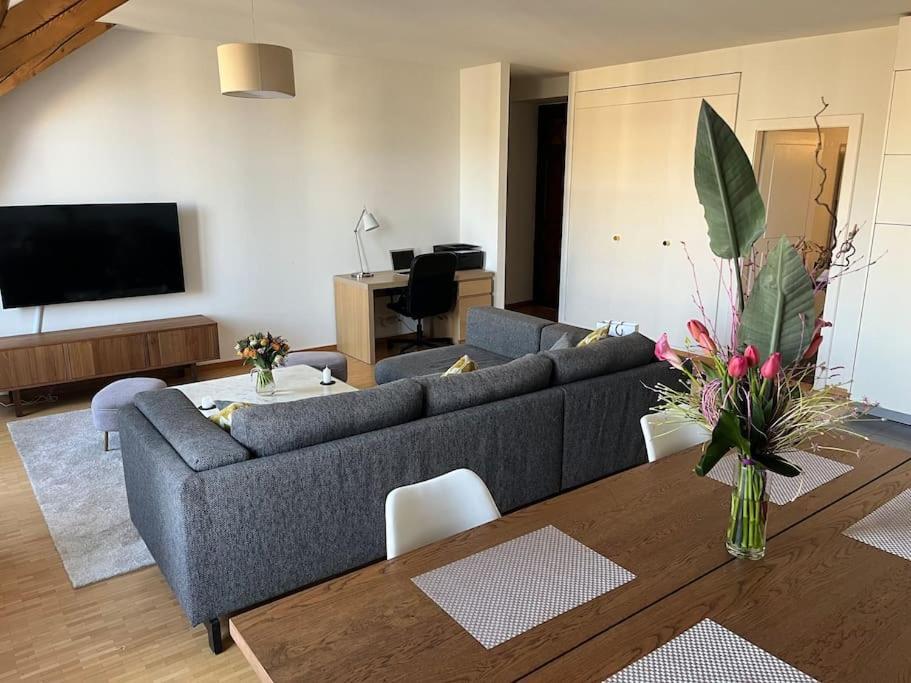 Rive Rhone Flat * Genebra