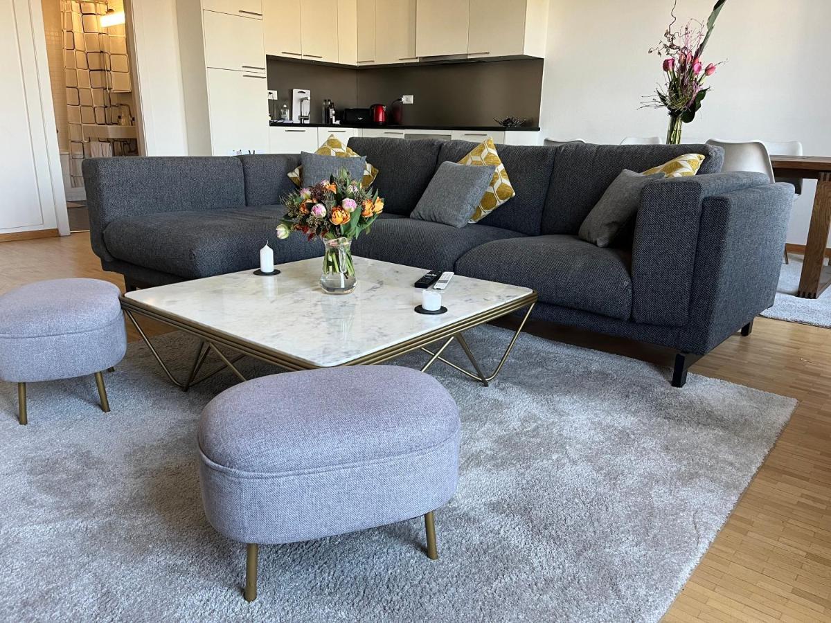Rive Rhone Flat Genebra