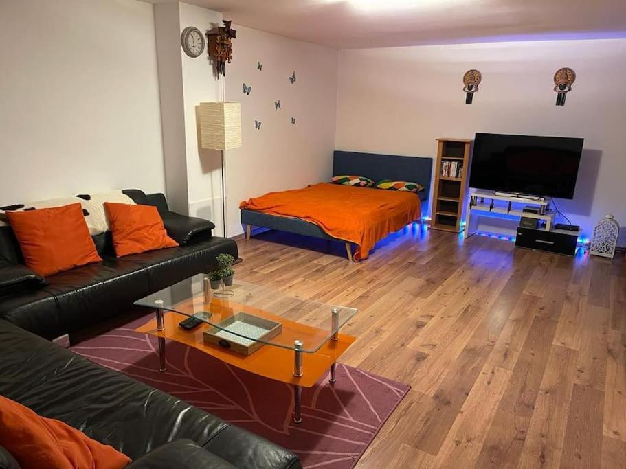 Spacious In Luxurious Villa-geneva Appartement *