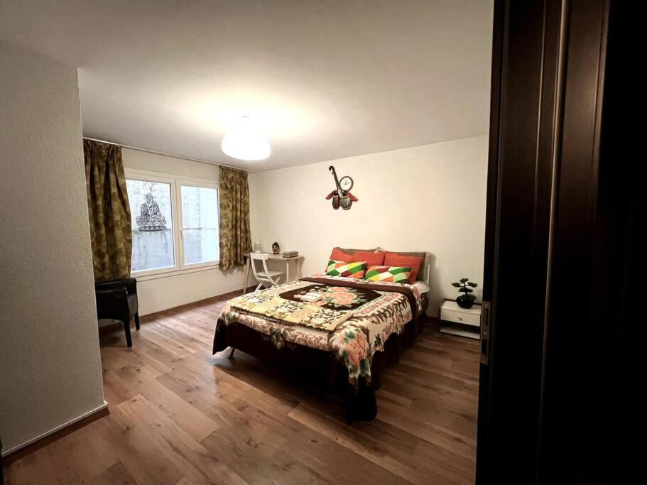 Spacious In Luxurious Villa-geneva