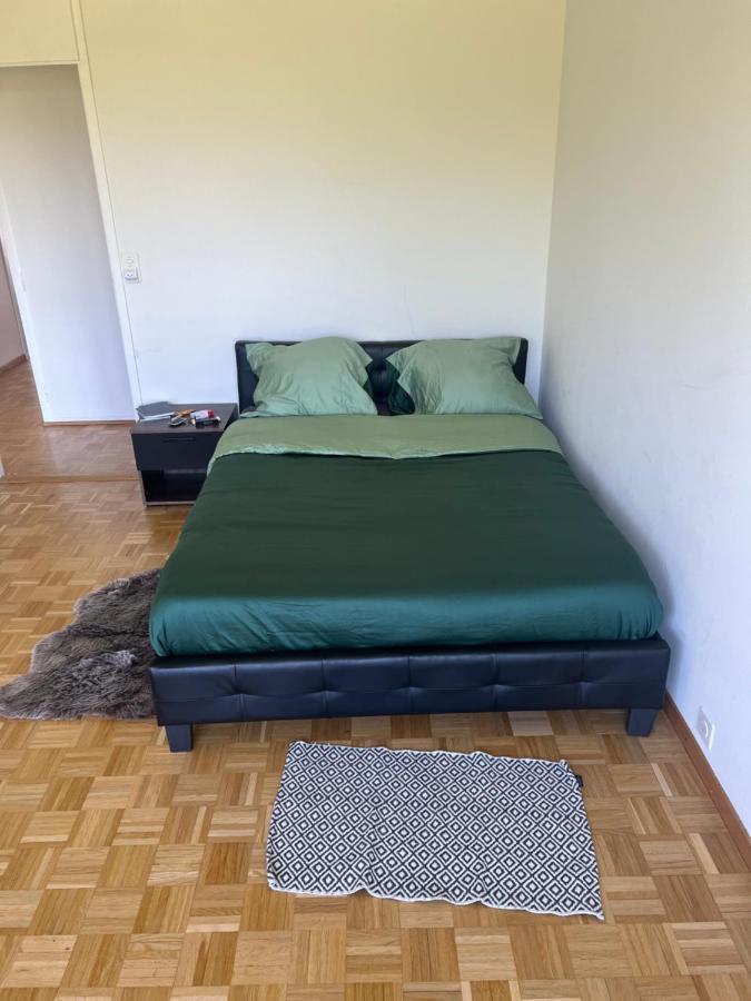 Apartment La Marina Appart Geneva