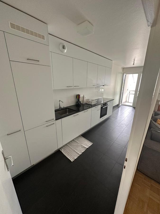 Apartment La Marina Appart Geneva
