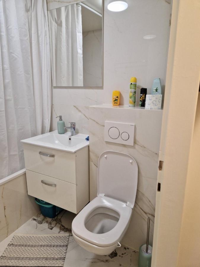 Spacieux Appartement
