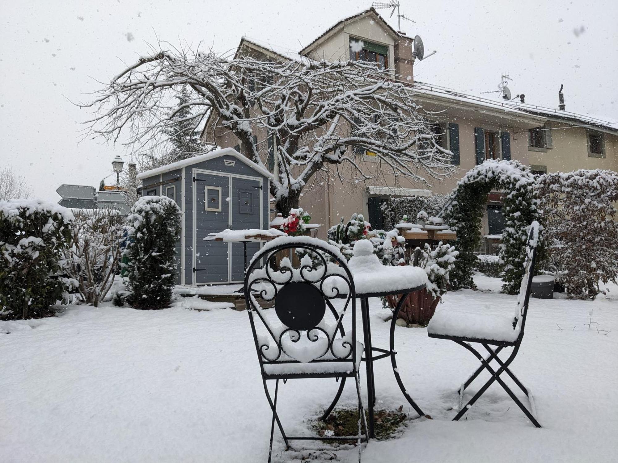 I Vernier, Homestay Geneva