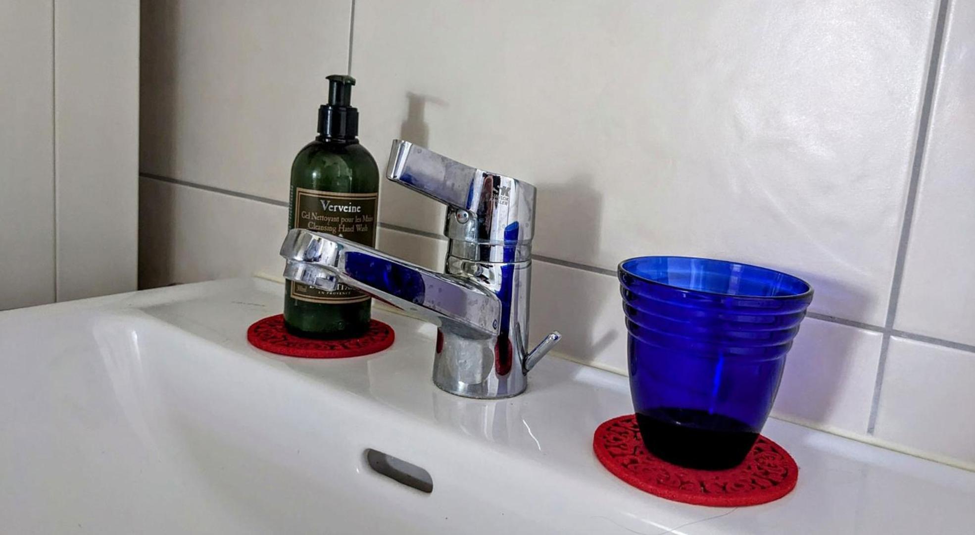 I Vernier, * Ginebra