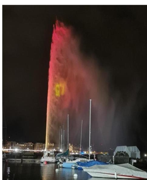 Appartement Jet D'eau Haussmannien Genève