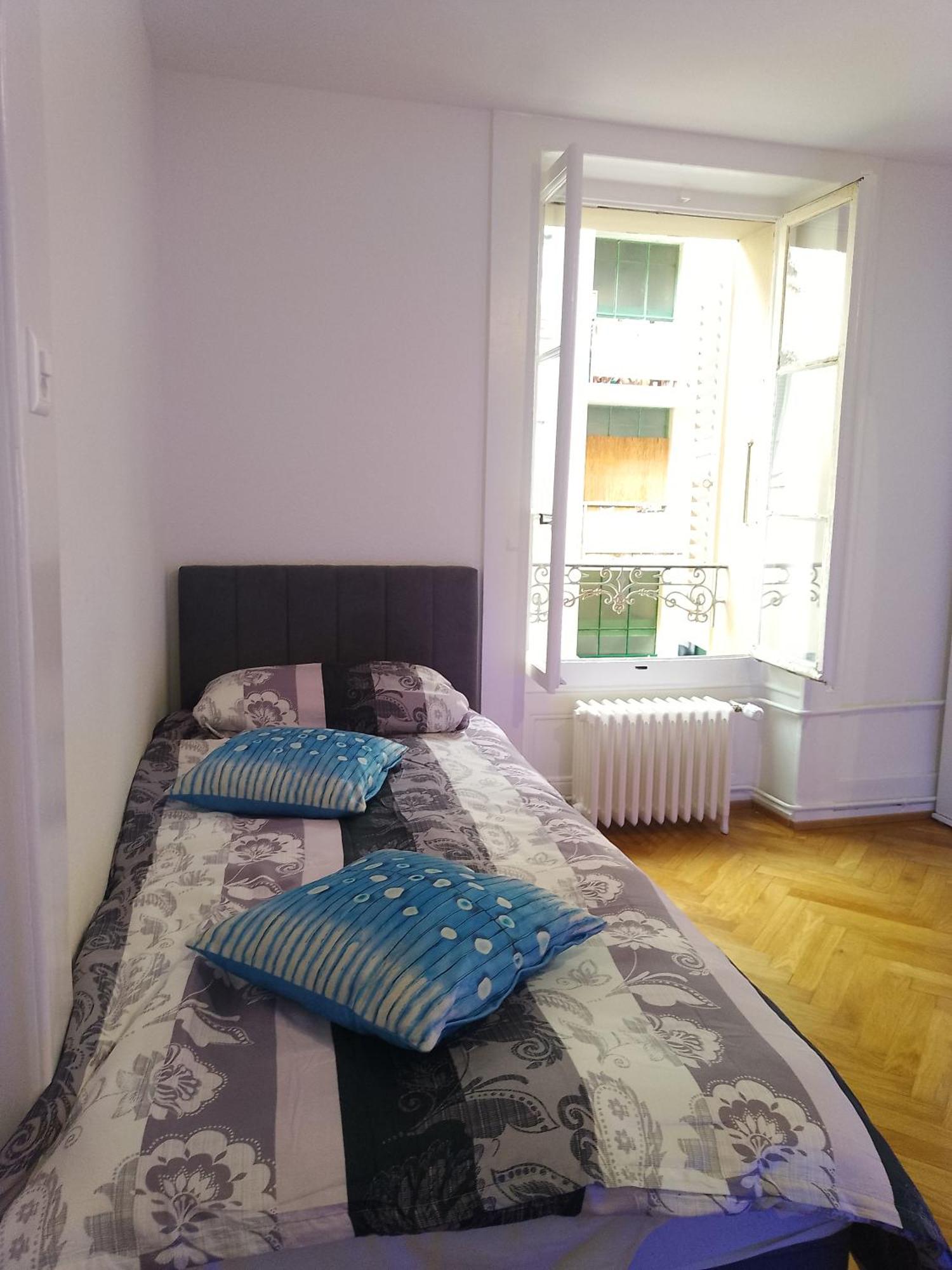 Appartement Charming Flat Center And Near The Genève