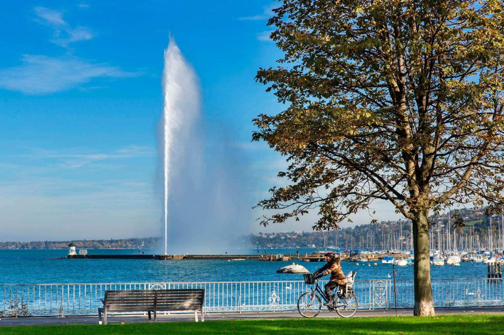 Newly Renovated Eaux Vives Charlie Thornton * Genève