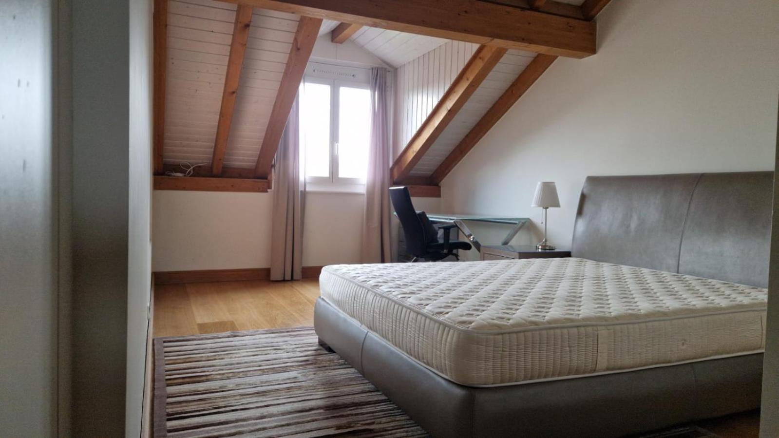 Penthouse In Cologny Switzerland * Genève