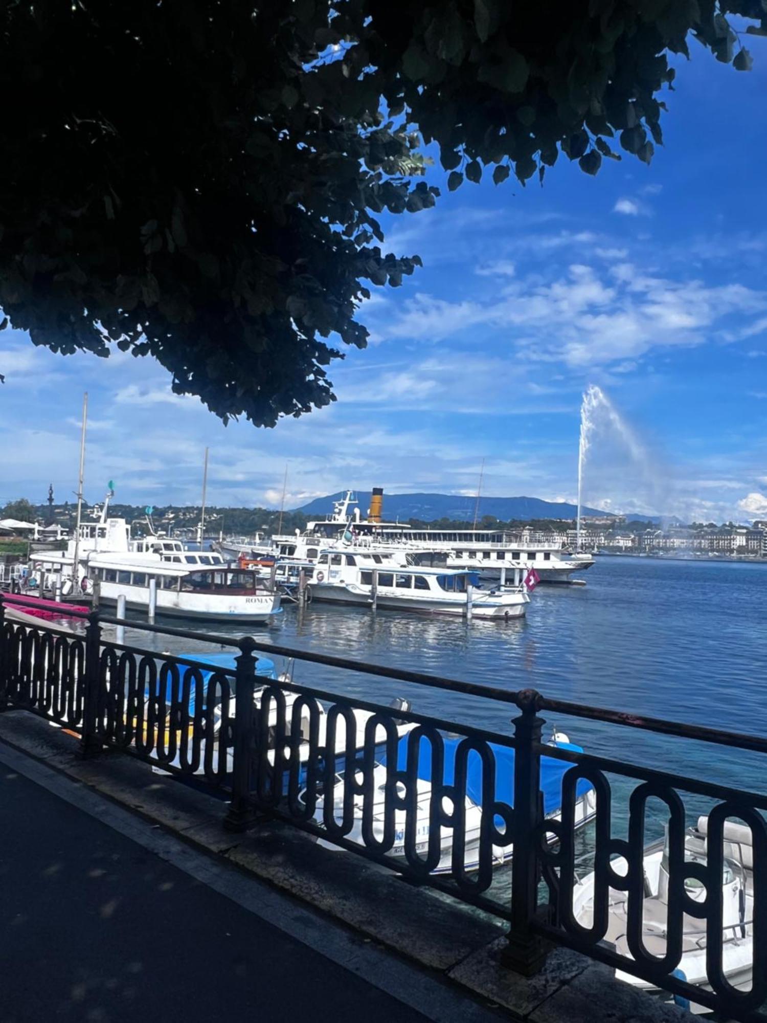1,5 Geneve Apartamento