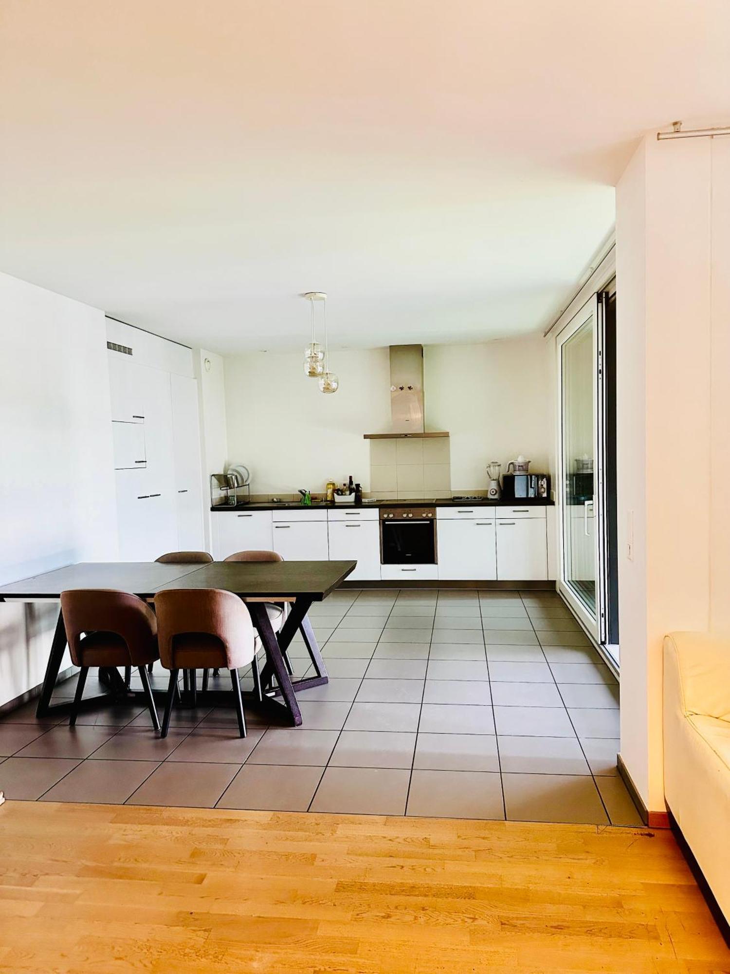 Appartement Magnifique En Centre Genève