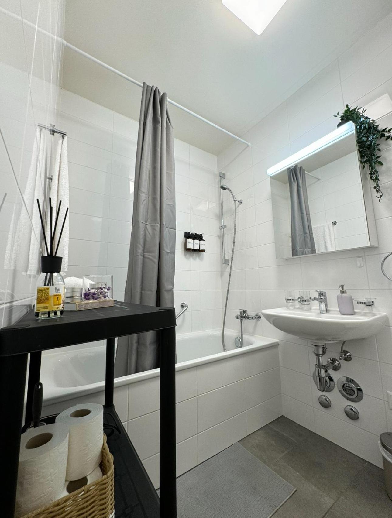 Modernite Et Confort A Appartement Genève