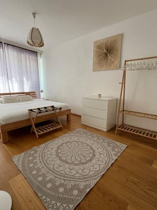 Apartamento 85m2 Au Centre-ville A 2 Pas Du Jet D'eau