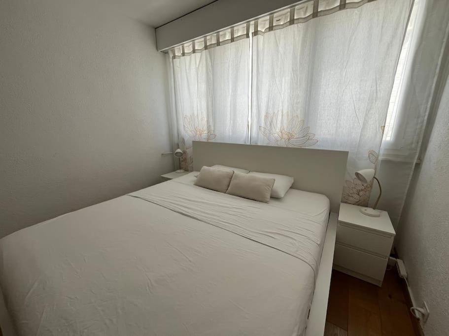 85m2 Au Centre-ville A 2 Pas Du Jet D'eau Appartement Genève