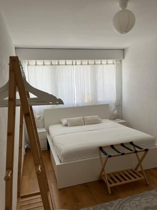 85m2 Au Centre-ville A 2 Pas Du Jet D'eau Appartement