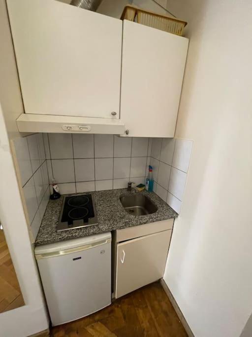 Apartment Au Coeur De Geneva