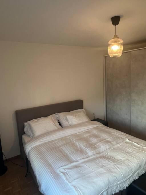 Magnifique Appartemens Aux Eaux Vives Appartement Genève