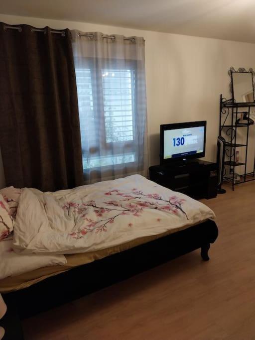 Appartement Tres Grand Studio Proche De Tout