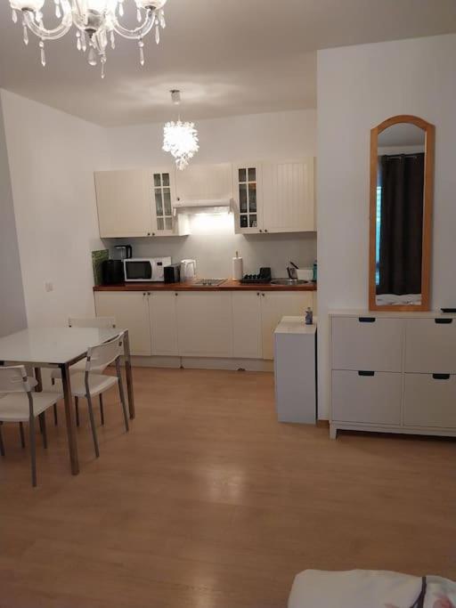 Appartement Tres Grand Studio Proche De Tout Genève