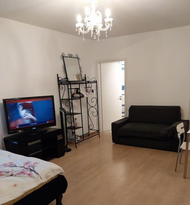 Tres Grand Studio Proche De Tout Appartement