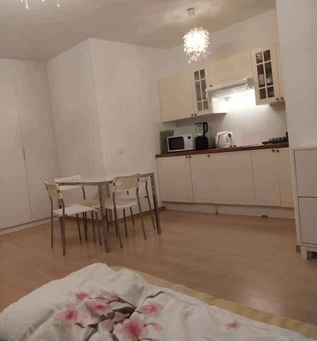Appartement Tres Grand Studio Proche De Tout Genève