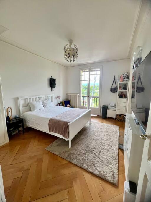2 Pieces Au Coeur De Ge Appartement *