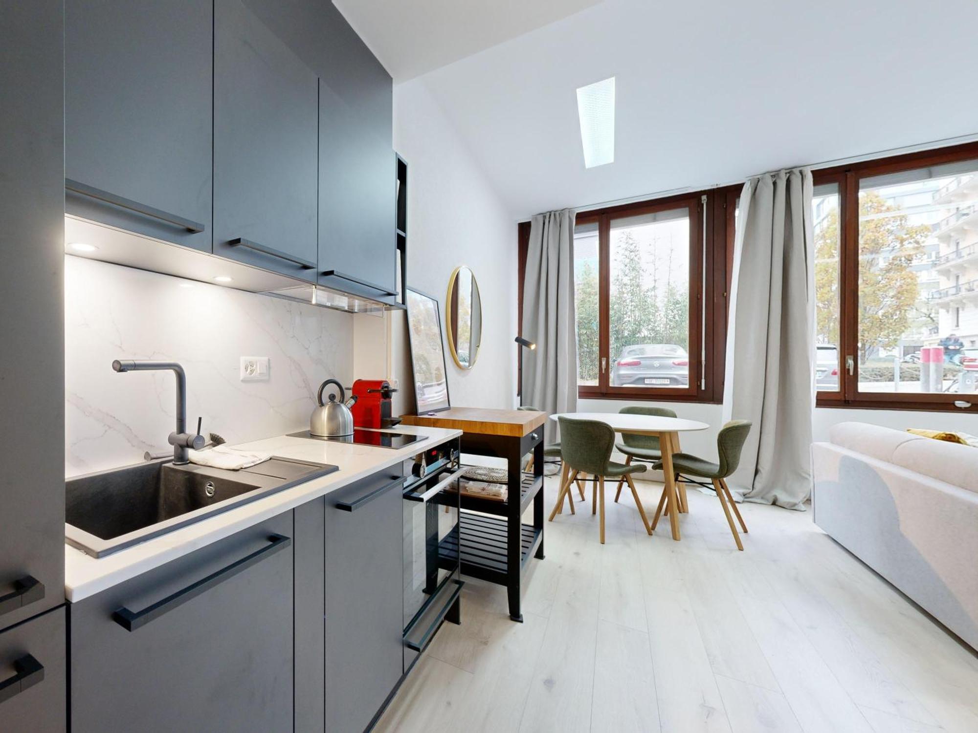 Bright Studio In Champel Appartement