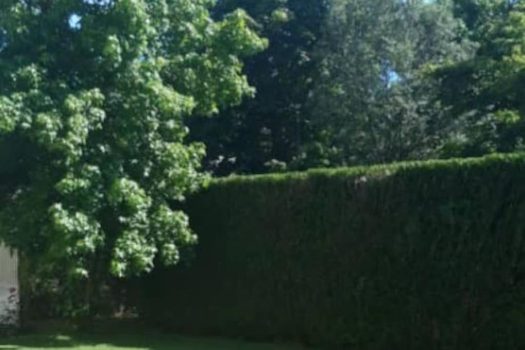 Splendid And Quiet Studio Surrounded By Green Appartement Genève