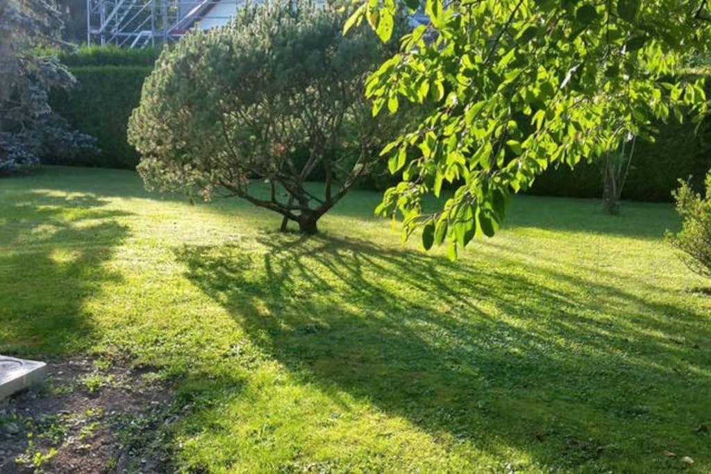 Splendid And Quiet Studio Surrounded By Green Genève