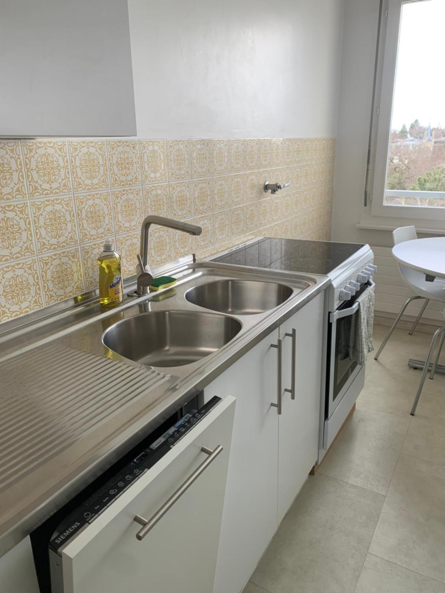 Beautiful 1-bed Near Palexpo, Un Agencies & Diplomatic Missions Appartement