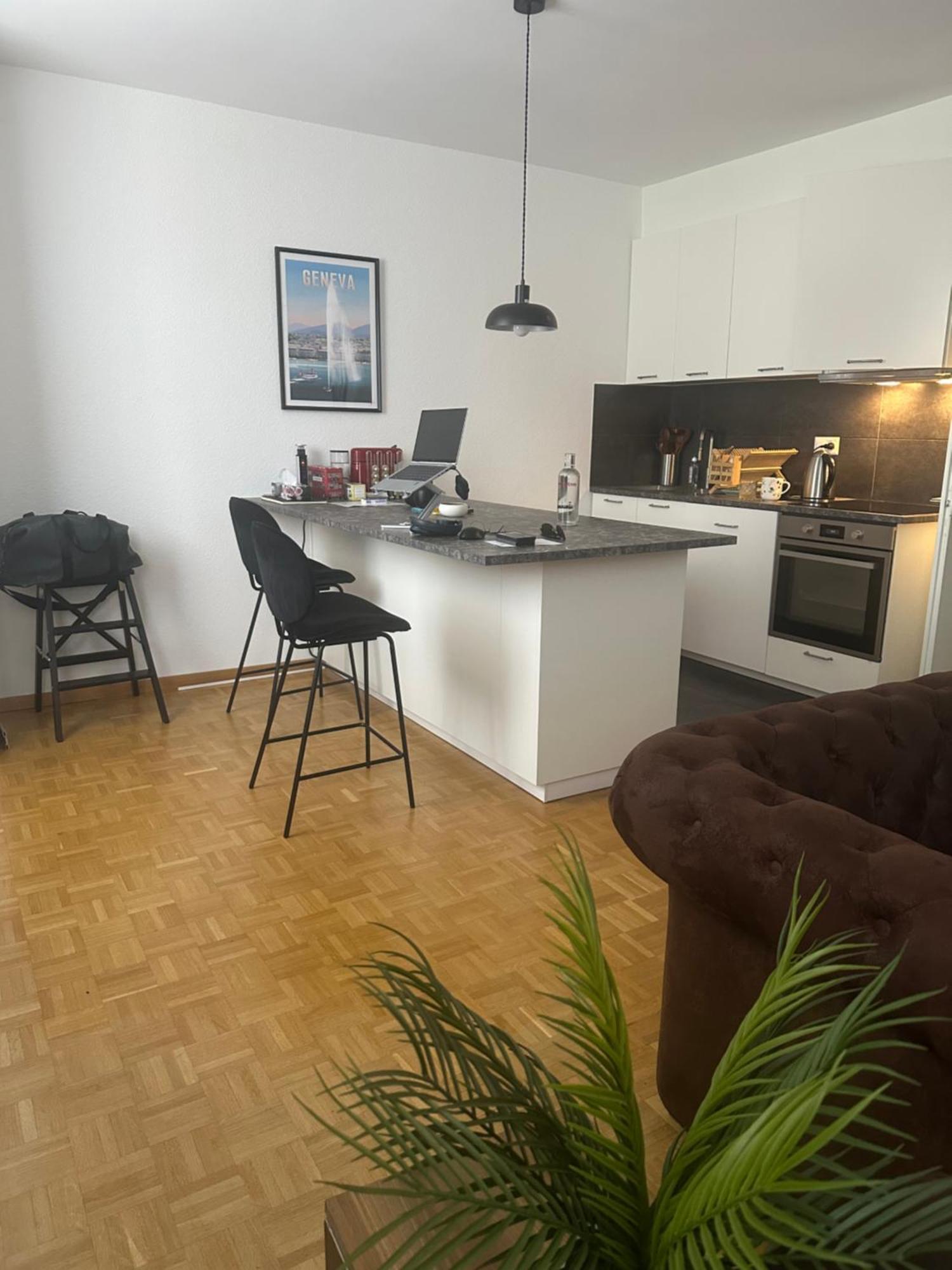 Magnificent Apartment, Center, Appartement Genève